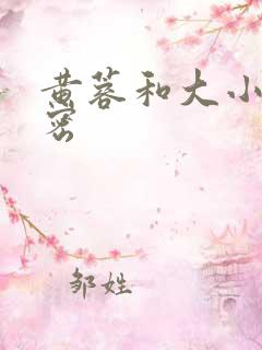 黄蓉和大小武秘密
