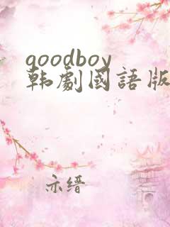 goodboy韩剧国语版全集完版