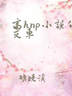 高hnp小说公交车