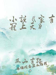 小说《家有萌妻宠上天》