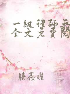 一级律师无删减全文免费阅读