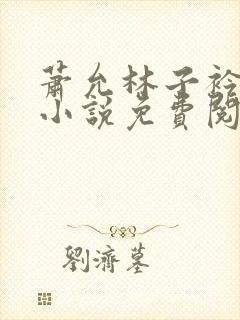 萧允林子衿穿越小说免费阅读无弹窗