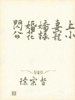 闪婚娇妻上司老公花样宠小说,免费阅读