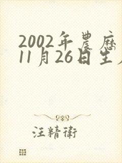 2002年农历11月26日生辰八字