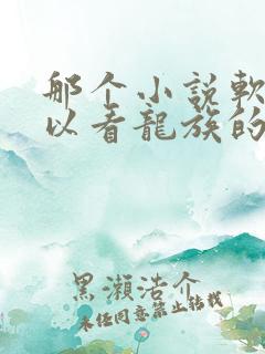 那个小说软件可以看龙族的小说