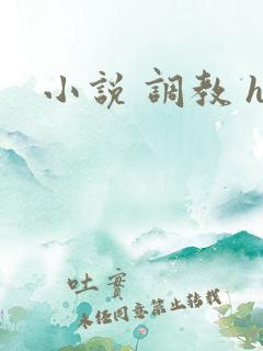 小说 调教 h