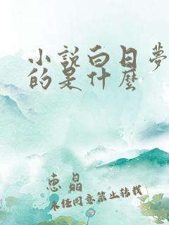 小说白日梦我讲的是什么