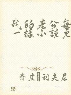 我的老公每天不一样小说免费阅读