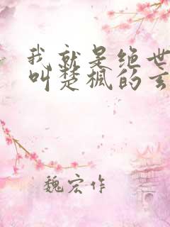 我就是绝世天才叫楚枫的玄幻小说