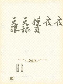 天天摸夜夜操狠狠舔爽