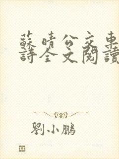 苏晴公交车上的诗全文阅读