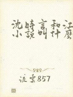 沈时言和江雁的小说叫什么名字