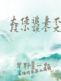 大佬追妻不择手段小说全文阅读