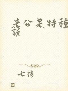 老公是特种兵小说