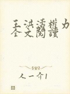 王洪涛权力巅峰全文阅读