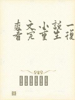 爽文小说一口气看完重生复仇