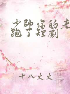 少帅你的老婆又跑了短剧