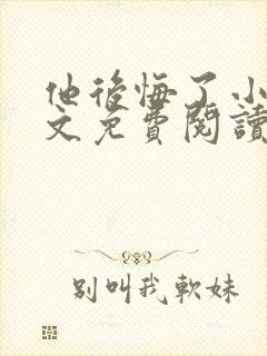 他后悔了小说全文免费阅读