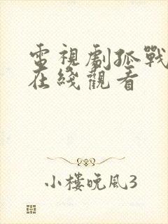 电视剧孤战全集在线观看