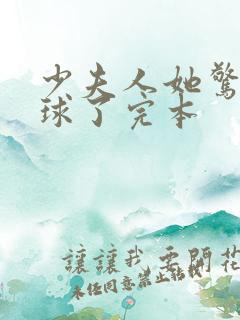 少夫人她惊艳全球了完本