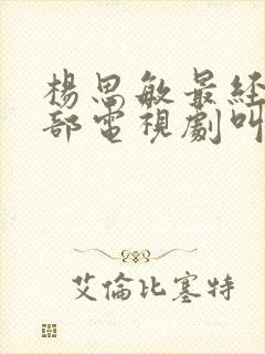 杨思敏最经典十部电视剧叫什么