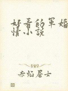 好看的军婚类言情小说