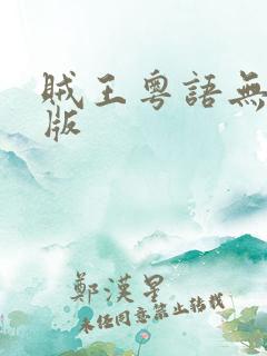 贼王粤语无删减版
