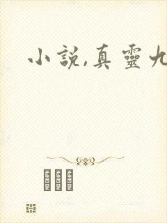 小说,真灵九变