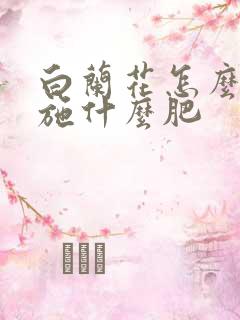 白兰花怎么施肥施什么肥