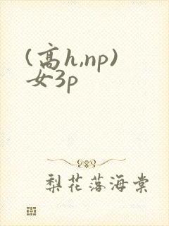 (高h,np)女3p