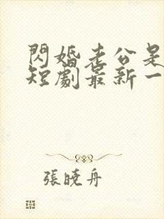 闪婚老公是豪门短剧最新一集