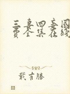 三妻四妾国语免费全集在线观看高清
