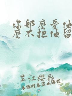 你那么爱他为什么不把他留下