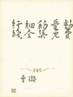 纤细的爱动漫在线全集免费观看