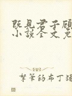 既见君子顾南西小说全文免费阅读