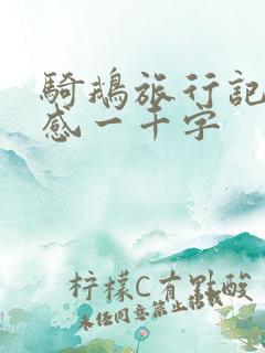 骑鹅旅行记读后感一千字