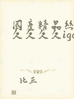 国产精品丝袜久久久久久igao