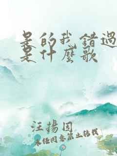 是的我错过了你是什么歌
