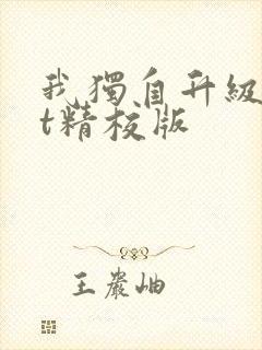 我独自升级txt精校版