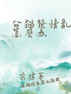 公猫发情乱尿尿怎么办