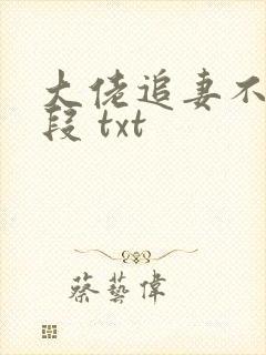 大佬追妻不择手段 txt