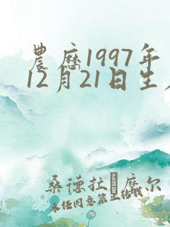 农历1997年12月21日生辰八字