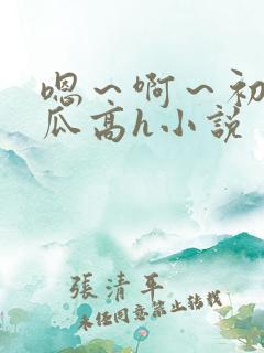 嗯～啊～初次破瓜高h小说