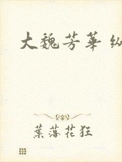 大魏芳华 纵横