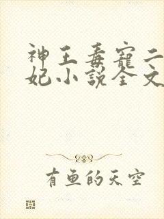 神王毒宠二嫁王妃小说全文免费