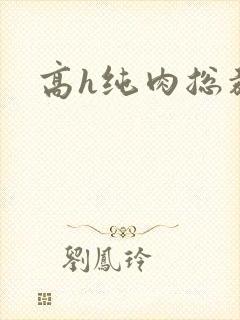 高h纯肉总裁