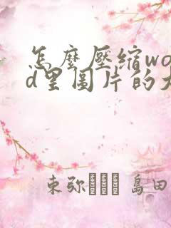 怎么压缩word里图片的大小