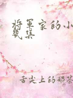 将军家的小娘子几集