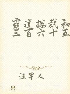 霸道总裁和我的三百六十五天第二部