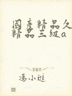 国产精品久久久精品三级a 国产精品久久久精品三级a